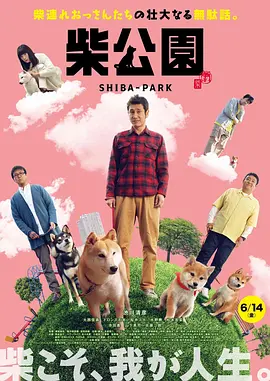 无家可归的美人
